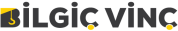 Bilgiç Vinç