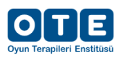 Oyun Terapileri Enstitüsü